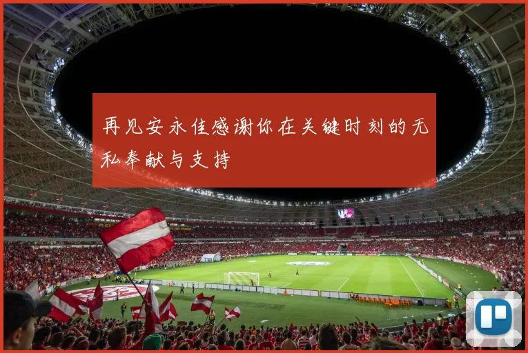 再见安永佳感谢你在关键时刻的无私奉献与支持