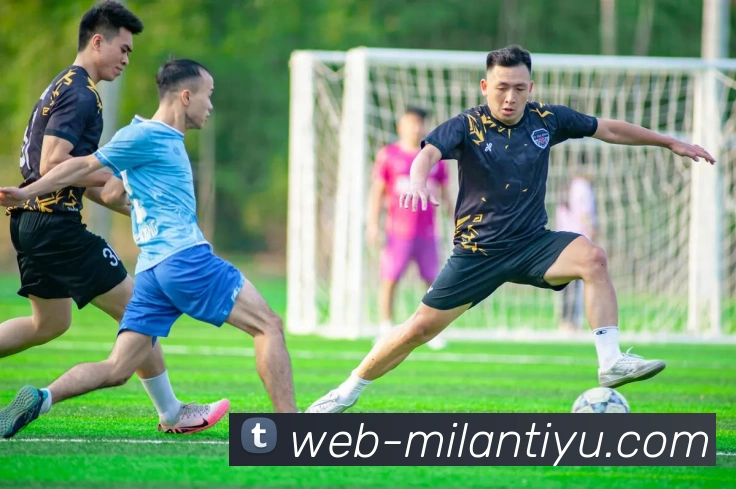 米兰体育平台生态图